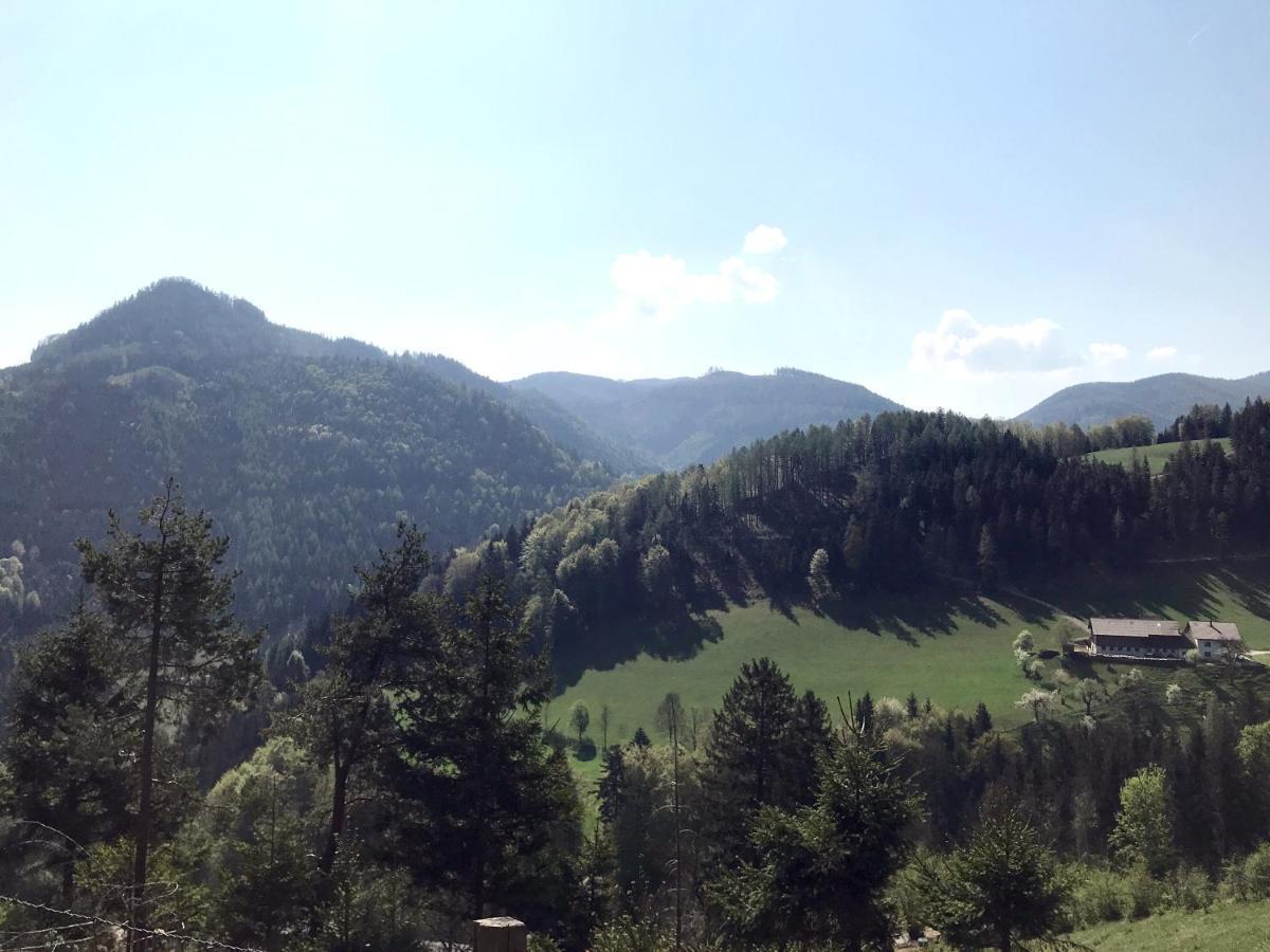 Waldblick Landhaus B&B Schwarzenbach an der Pielach Exterior photo